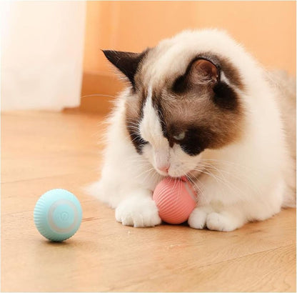 Power Cat Ball Toy