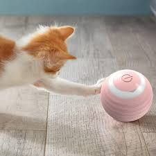 Power Cat Ball Toy